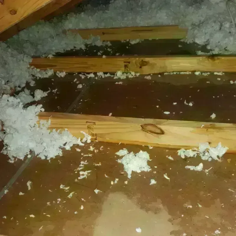 Attic Water Damage in East Greenwich, RI